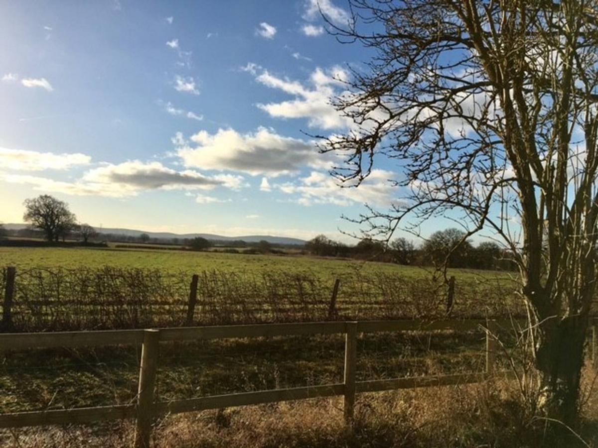 South Cottage - Rural Gem In The Heart Of The Sussex Countryside Twineham Esterno foto