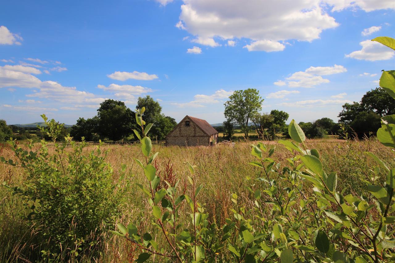 South Cottage - Rural Gem In The Heart Of The Sussex Countryside Twineham Esterno foto