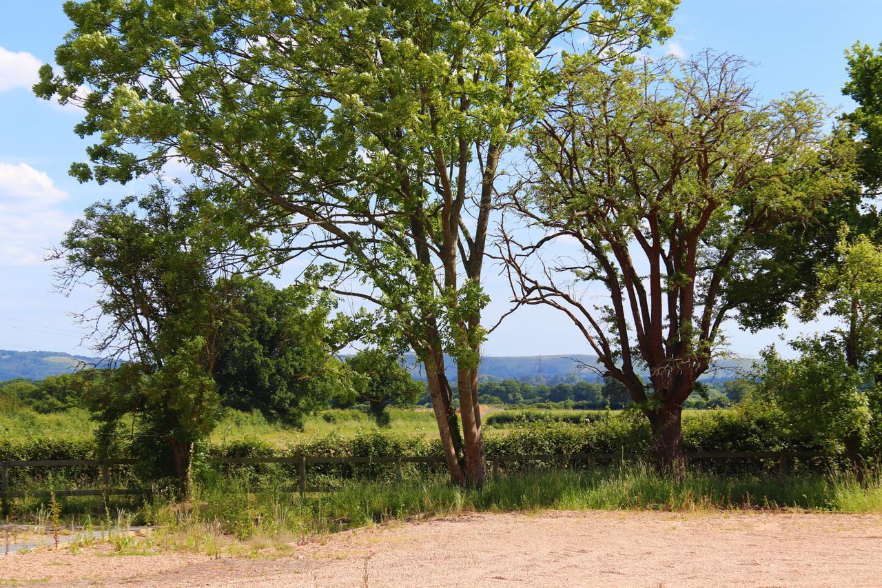 South Cottage - Rural Gem In The Heart Of The Sussex Countryside Twineham Esterno foto